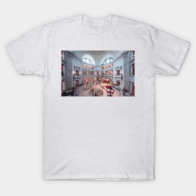 Smithsonian Natural History Museum T-Shirt by jswolfphoto